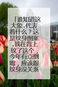 谁知道这大象.代表着什么？这是纹身图案.我在背上纹了这个，今年有点倒霉，应该跟纹身没关系哈？