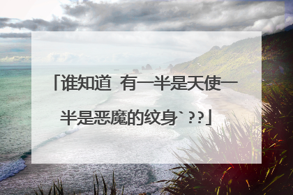 谁知道 有一半是天使一半是恶魔的纹身`??