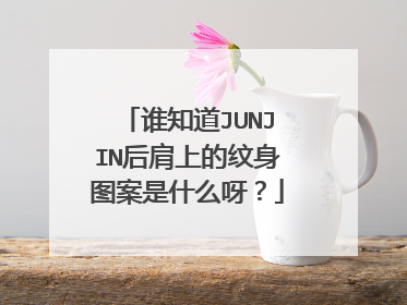 谁知道JUNJIN后肩上的纹身图案是什么呀？