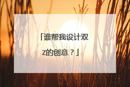 谁帮我设计双Z的创意？