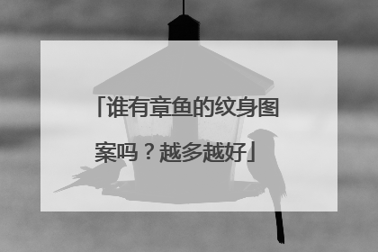 谁有章鱼的纹身图案吗？越多越好