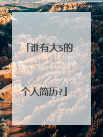 谁有大S的个人简历?