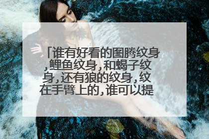 谁有好看的图腾纹身,鲤鱼纹身,和蝎子纹身,还有狼的纹身,纹在手臂上的,谁可以提供一下参考一下