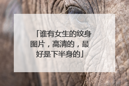 谁有女生的纹身图片，高清的，最好是下半身的