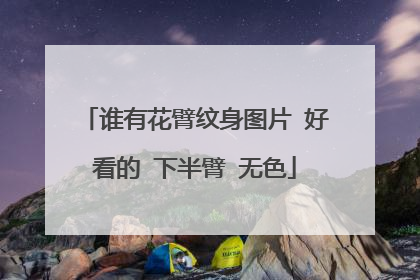 谁有花臂纹身图片 好看的 下半臂 无色