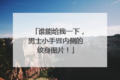 谁能给我一下,男士小手臂内侧的纹身图片!