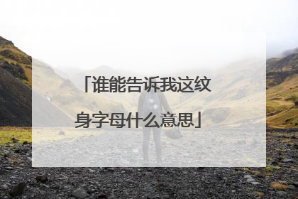 谁能告诉我这纹身字母什么意思