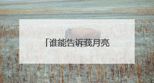 谁能告诉莪月亮纹身的讲究。