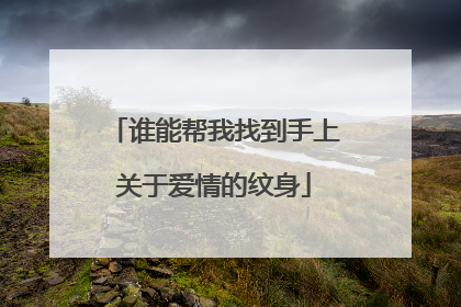 谁能帮我找到手上关于爱情的纹身
