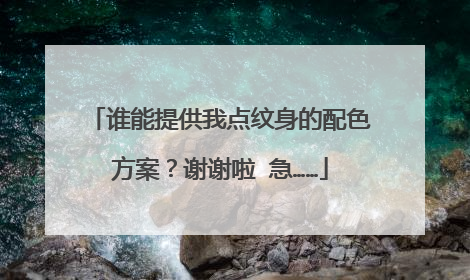 谁能提供我点纹身的配色方案？谢谢啦 急……