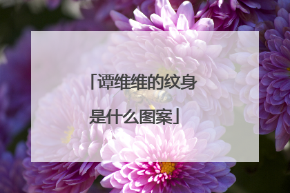 谭维维的纹身是什么图案