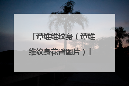 谭维维纹身（谭维维纹身花臂图片）