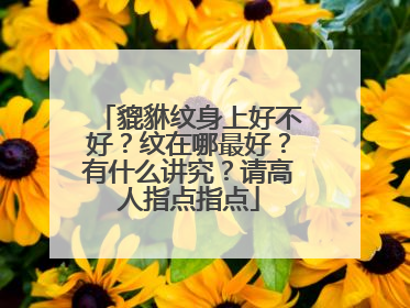 貔貅纹身上好不好？纹在哪最好？有什么讲究？请高人指点指点