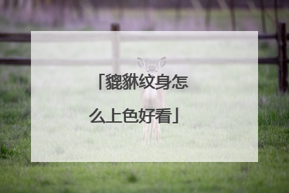 貔貅纹身怎么上色好看