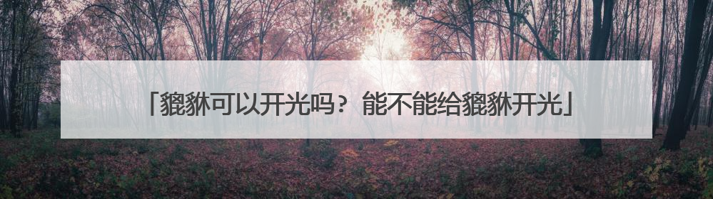 貔貅可以开光吗? 能不能给貔貅开光