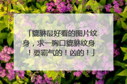 貔貅最好看的图片纹身，求一胸口貔貅纹身！要霸气的！凶的！