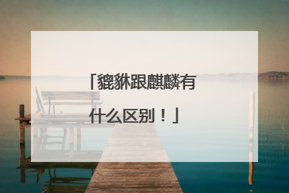 貔貅跟麒麟有什么区别！