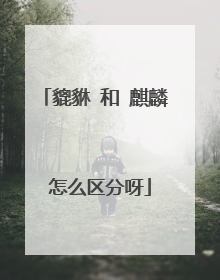 貔貅 和 麒麟 怎么区分呀