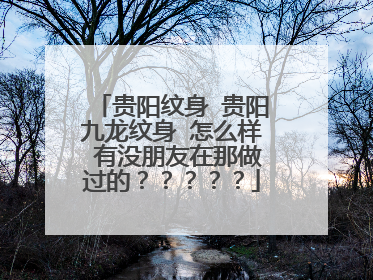 贵阳纹身 贵阳九龙纹身 怎么样 有没朋友在那做过的?????