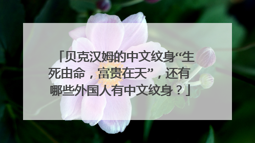 贝克汉姆的中文纹身“生死由命，富贵在天”，还有哪些外国人有中文纹身？