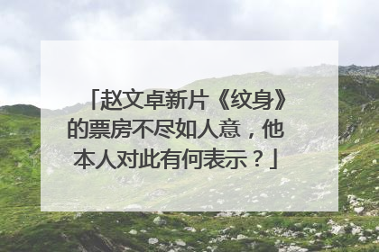 赵文卓新片《纹身》的票房不尽如人意，他本人对此有何表示？