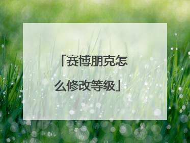 赛博朋克怎么修改等级