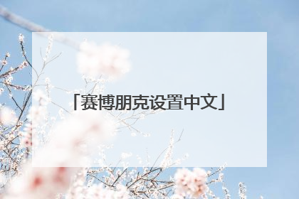 赛博朋克设置中文