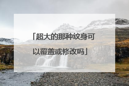 超大的那种纹身可以覆盖或修改吗