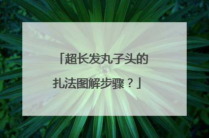 超长发丸子头的扎法图解步骤？