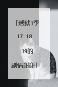 越狱1季17 18  19的剧情谢谢