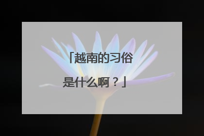 越南的习俗是什么啊？
