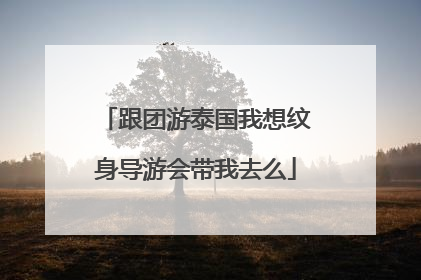 跟团游泰国我想纹身导游会带我去么