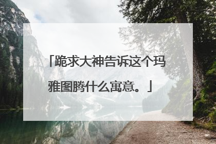 跪求大神告诉这个玛雅图腾什么寓意。