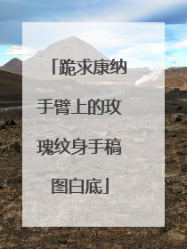 跪求康纳手臂上的玫瑰纹身手稿图白底