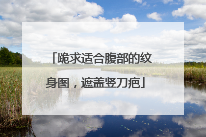 跪求适合腹部的纹身图，遮盖竖刀疤