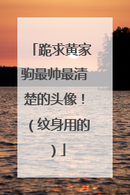 跪求黄家驹最帅最清楚的头像！（纹身用的）