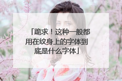 跪求！这种一般都用在纹身上的字体到底是什么字体