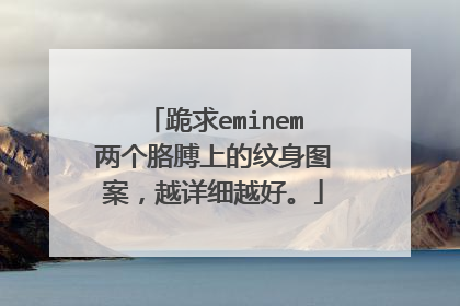 跪求eminem两个胳膊上的纹身图案，越详细越好。