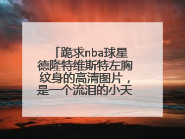 跪求nba球星德隆特维斯特左胸纹身的高清图片，是一个流泪的小天使，附带一段英文 求左胸那个位