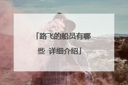 路飞的船员有哪些 详细介绍