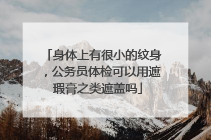 身体上有很小的纹身，公务员体检可以用遮瑕膏之类遮盖吗