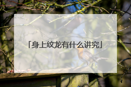 身上纹龙有什么讲究