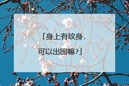 身上有纹身.可以出国嘛?