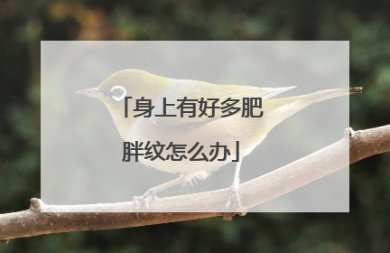 身上有好多肥胖纹怎么办