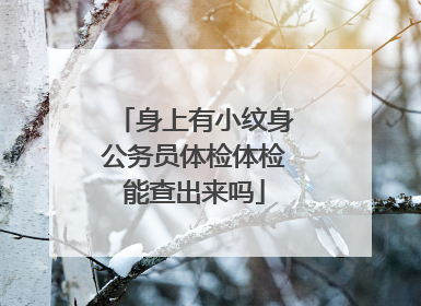 身上有小纹身公务员体检体检能查出来吗