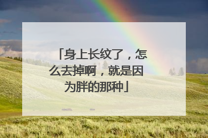 身上长纹了，怎么去掉啊，就是因为胖的那种