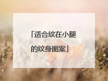 适合纹在小腿的纹身图案