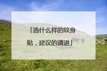 选什么样的纹身贴，建议的请进