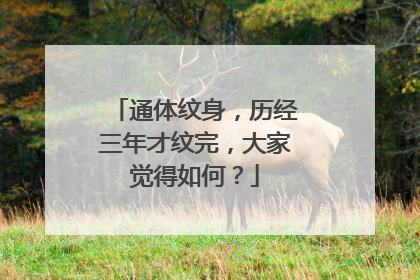 通体纹身，历经三年才纹完，大家觉得如何？