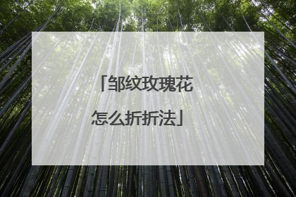 邹纹玫瑰花怎么折折法